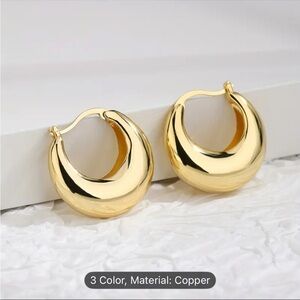 Elegant Gold Hoop Earrings